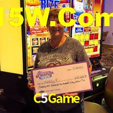 Experiência VIP C5Game